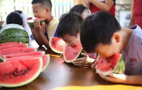 吃瓜奇异小镇,揭秘神秘食文化背后的故事  第3张